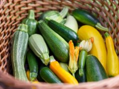 7 ผักฤทธิ์เย็น ดับธาตุไฟกำเริบ พืชบ้านๆ คลายร้อนจากภายใน เหมาะกับคนไทย