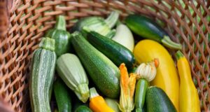 7 ผักฤทธิ์เย็น ดับธาตุไฟกำเริบ พืชบ้านๆ คลายร้อนจากภายใน เหมาะกับคนไทย