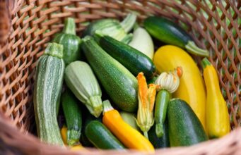 7 ผักฤทธิ์เย็น ดับธาตุไฟกำเริบ พืชบ้านๆ คลายร้อนจากภายใน เหมาะกับคนไทย