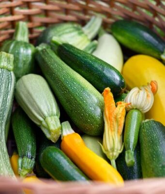 7 ผักฤทธิ์เย็น ดับธาตุไฟกำเริบ พืชบ้านๆ คลายร้อนจากภายใน เหมาะกับคนไทย