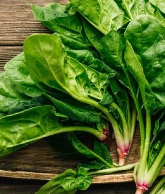 4 ผักบ้านๆ แต่เป็น “ราชาล้างพิษ” บำรุงผิว-ตับสะอาด-ลดไขมันเลว!!