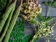 มะรุม ประโยชน์ดีๆ สรรพคุณเด่นๆ