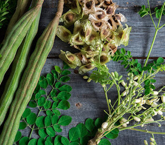 มะรุม ประโยชน์ดีๆ สรรพคุณเด่นๆ