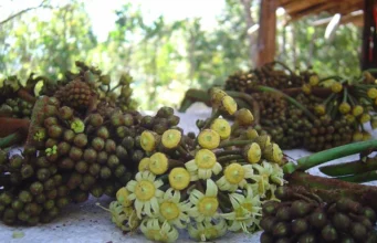 ต้างหลวง