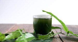 รวมสุดยอดสมุนไพรและอาหารฤทธิ์เย็น ช่วยลดอุณหภูมิในเลือด และคลายร้อนได้ทันทีที่กิน