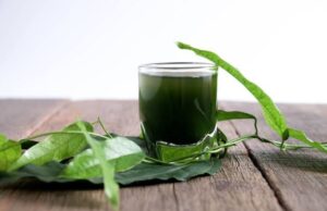 รวมสุดยอดสมุนไพรและอาหารฤทธิ์เย็น ช่วยลดอุณหภูมิในเลือด และคลายร้อนได้ทันทีที่กิน