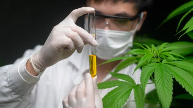 dFQROr7oWzulq5Fa5noa0SjSQzln7tu5PKArIJOztC1OhPpbky1Kqc18R9bR072q30I