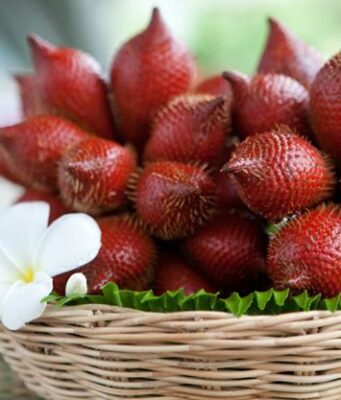สละ (salak) ประโยชน์และข้อควรระวังในการบริโภค