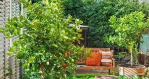 ไอเดียการปลูกและ การจัดสวนสมุนไพร