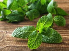 10 สมุนไพรและเครื่องเทศที่ปลอดภัยสำหรับเด็กทารก (รวมถึงสิ่งที่ควรหลีกเลี่ยง)