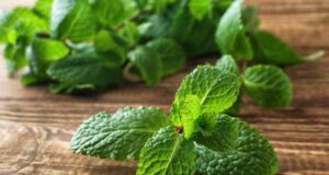 10 สมุนไพรและเครื่องเทศที่ปลอดภัยสำหรับเด็กทารก (รวมถึงสิ่งที่ควรหลีกเลี่ยง)