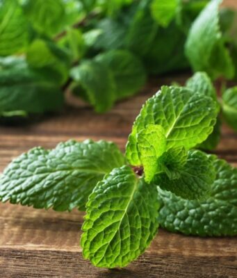 10 สมุนไพรและเครื่องเทศที่ปลอดภัยสำหรับเด็กทารก (รวมถึงสิ่งที่ควรหลีกเลี่ยง)