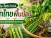 ผักพื้นบ้านไทย ประโยชน์ใกล้ตัว อัดแน่นคุณค่าทางโภชนาการ