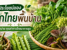ผักพื้นบ้านไทย ประโยชน์ใกล้ตัว อัดแน่นคุณค่าทางโภชนาการ