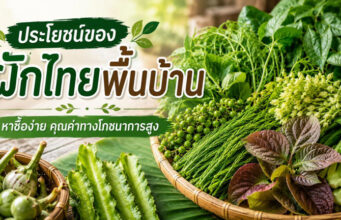 ผักพื้นบ้านไทย ประโยชน์ใกล้ตัว อัดแน่นคุณค่าทางโภชนาการ
