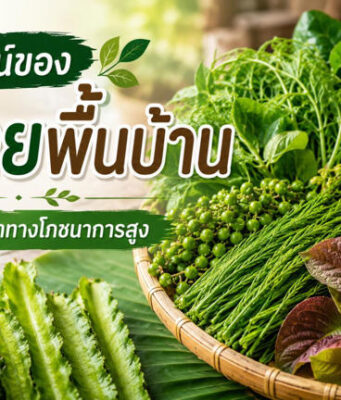 ผักพื้นบ้านไทย ประโยชน์ใกล้ตัว อัดแน่นคุณค่าทางโภชนาการ
