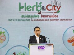 ปลุก Soft Power ไทย เจาะไลฟ์สไตล์คนเมือง ดัน “สมุนไพร” สู่ตลาดสุขภาพโลก