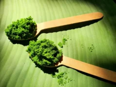 Superfood เมืองไทย หาง่าย ปลูกง่าย