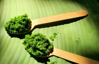 Superfood เมืองไทย หาง่าย ปลูกง่าย