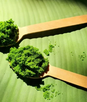 Superfood เมืองไทย หาง่าย ปลูกง่าย
