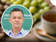 ชู “ตรีผลา” สุดยอดสมุนไพรปรับธาตุ งานวิจัยระดับสากลยืนยันช่วยคุมน้ำหนัก ลดน้ำตาลในเลือด