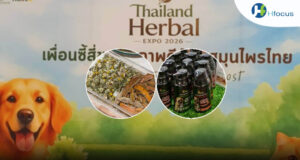 ส่องผลิตภัณฑ์สมุนไพร ทั้งทองพันชั่ง-สารสกัดกัญชา ดูแลสุขภาพสัตว์เลี้ยง