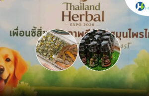 ส่องผลิตภัณฑ์สมุนไพร ทั้งทองพันชั่ง-สารสกัดกัญชา ดูแลสุขภาพสัตว์เลี้ยง