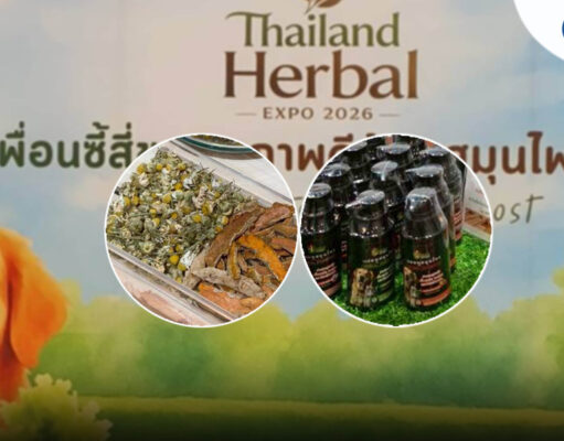 ส่องผลิตภัณฑ์สมุนไพร ทั้งทองพันชั่ง-สารสกัดกัญชา ดูแลสุขภาพสัตว์เลี้ยง